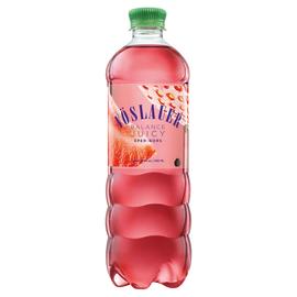 VOSLAUER EPER-BORSMENTA 0,75L SZENSAVAS IZESITETT ASVANYVIZ,